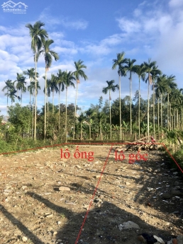 Lô đất quá đẹp, đường 4m sẵn sổ-Điện Tiến
