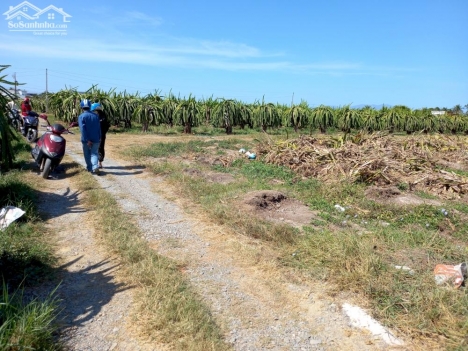 Đất Giá Rẻ -Tiến Hoà-Tiến Lợi-Phan Thiết-DT 1.500m2 cây lâu năm .