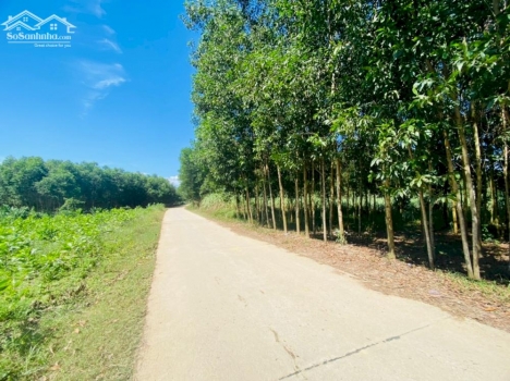 Bán đất vườn diên xuân đẹp giá rẽ