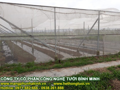 Công dụng của lưới chắn côn trùng, nông nghiệp công nghệ cao, cách làm nhà lưới đơn giản,