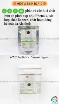Men vi sinh BCP10 xử lý chất hoạt động bề mặt