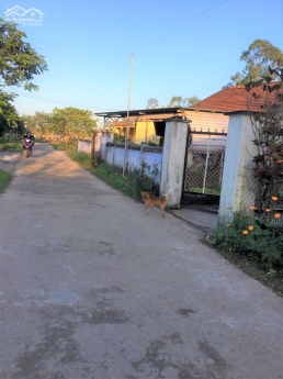 Đường thông, hè thoáng, sát đường nhựa, bán nhanh lô đất Điện Tiến sẵn sổ đỏ