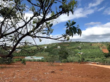 chinh chủ bán lô đất nghỉ dưỡng ven dalat