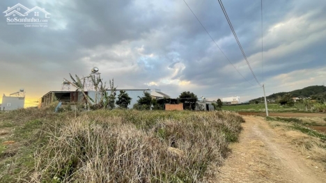 Bán đất bên sông (5x36 - 75 thổ cư) Liên nghĩa - Đức trọng - Lâm Đồng