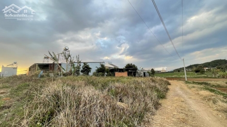 Bán nhanh lô 5x36m có 75m2 thổ cư ngay trung tâm TT. Liên Nghĩa - Đức Trọng - Lâm Đồng giá 1.750 tỷ