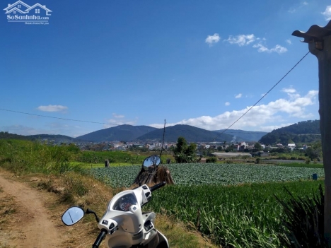 Bán ~1000m2 đất thuộc Đức Trọng, gần QL27 mới