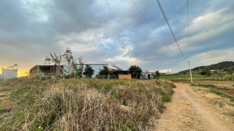 Bán đất 1.69 Tỷ 5x36m Sẵn 75m Thổ Cư Đất TT Liên Nghĩa- Đức Trọng - Lâm Đồng