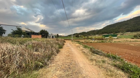 Bán đất 1.69 Tỷ 5x36m Sẵn 75m Thổ Cư Đất TT Liên Nghĩa- Đức Trọng - Lâm Đồng