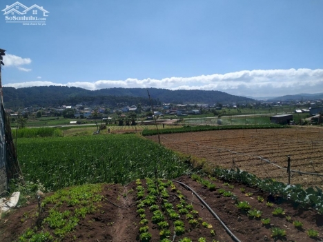 Bán ~1000m2 đất thuộc Đức Trọng, gần QL27 mới