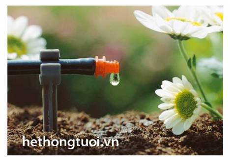 Hệ thống tưới nhỏ giọt,hệ thống tưới nhỏ giọt gia đình, cách tưới cây nhỏ giọt giá rẻ