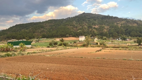 Bán đất 1.69 Tỷ 5x36m Sẵn 75m Thổ Cư Đất TT Liên Nghĩa- Đức Trọng - Lâm Đồng