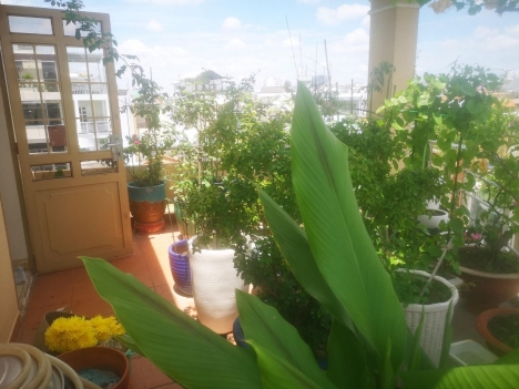 Bán nhà 5 Tầng, khu VIP Lê Trọng Tấn - Nguyễn Hữu Tiến.