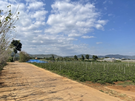 Lô 2 mặt tiền 2,98 tỷ 11x30m sẵn 100m thổ cư tại Liên Hiệp - Đức Trọng - Lâm Đồng