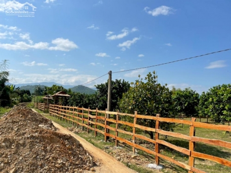 Bán đất nhà vườn Diên Đồng - Diên Khánh