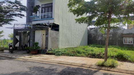 CÒN SÓT LẠI 1 LÔ ĐÔNG BÀU GIANG GIÁ TỐT