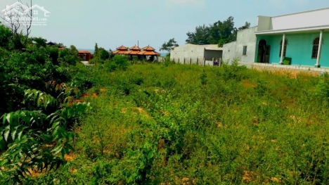 Đất Mặt Tiền Lạc Long Quân-Tiến Thành-Phan Thiết-DT 624m2,có 183m2 thổ cư,MT17,5m.