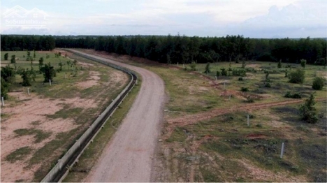 Chỉ 963tr có hơn 8000m2 đất nền bình tân cách đường liên huyện 120m gần công viên safari 3300ha sổ s