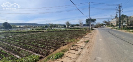 Bán mặt tiền trung tâm TT. Thạnh Mỹ - Đơn Dương 5x31 giá 1 tỷ 290 triệu.