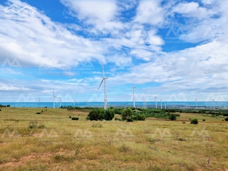 Bán lô đất view biển 250 triệu/sào. Cách KDL Cổ Thạch 3km