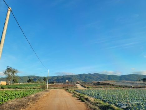 Bán Đất 5x23 TC 75m Giá 650 Triệu Tại Thạnh Mỹ - Đơn Dương - Lâm Đồng