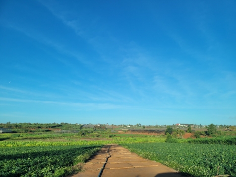 Bán Đất 5x23 TC 75m Giá 650 Triệu Tại Thạnh Mỹ - Đơn Dương - Lâm Đồng