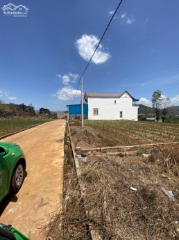 Bán đất trung tâm thị trấn Liên Nghĩa, gần sân bay chỉ 1.49 tỷ