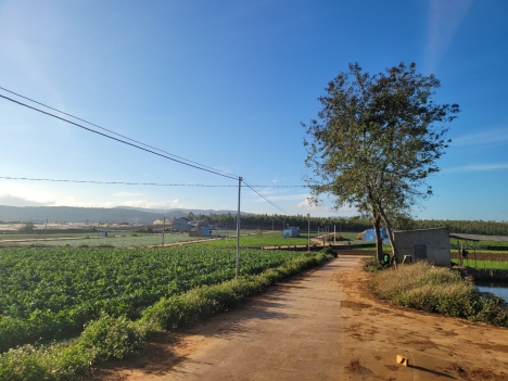 Bán Đất 5x23 TC 75m Giá 650 Triệu Tại Thạnh Mỹ - Đơn Dương - Lâm Đồng