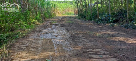 Cần bán đất vườn diẻn xuân diên khánh giá rẻ