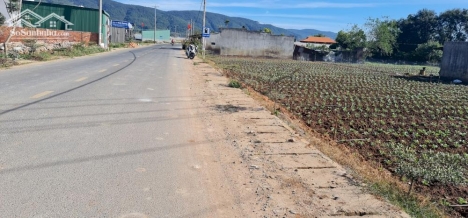 Bán đất mặt tiền kinh doanh đường Nguyễn chí thanh và Phạm ngọc thạch