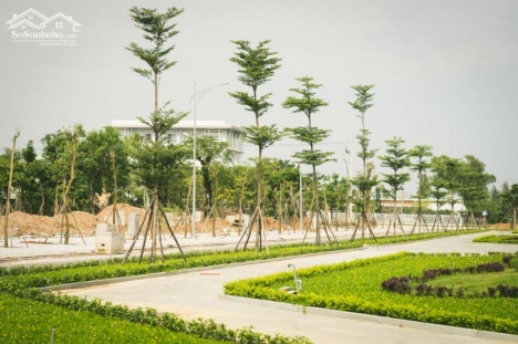 DỰ ÁN ĐẤT NỀN KHU ĐÔ THỊ QUỐC TẾ AN PHÚ- TAM KỲ
