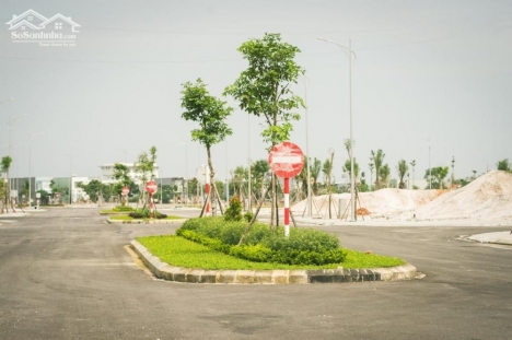 DỰ ÁN ĐẤT NỀN KHU ĐÔ THỊ QUỐC TẾ AN PHÚ- TAM KỲ