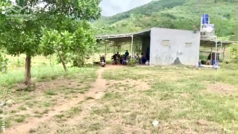 Trang trại 16ha (nuôi heo Tộc) chỉ 570tr/Ha - Ninh Thượng, Ninh Hoà, Khánh Hoà