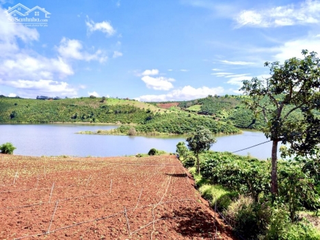 1.1Ha vườn Cfe giáp hồ Đại Ninh - Đức Trọng chỉ 600tr/sào