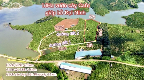 1.1Ha vườn Cfe giáp hồ Đại Ninh - Đức Trọng chỉ 600tr/sào