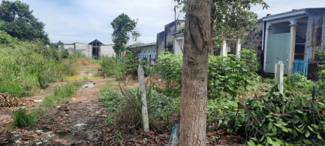 CẦN BÁN GẤP LÔ ĐẤT 1550M2 MẶT TIỀN ĐƯỜNG HÙNG VƯƠNG, BẾN CÁT, BÌNH DƯƠNG