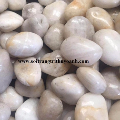 Top năm loại sỏi trang trí tiêu thụ nhiều ở miền Bắc