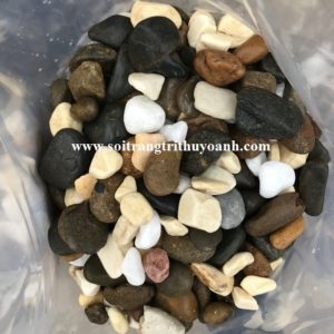 Top năm loại sỏi trang trí tiêu thụ nhiều ở miền Bắc