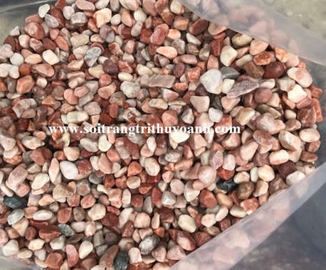 Top năm loại sỏi trang trí tiêu thụ nhiều ở miền Bắc
