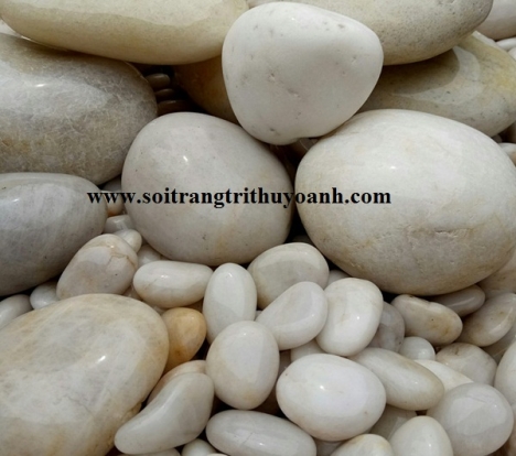 Top năm loại sỏi trang trí tiêu thụ nhiều ở miền Bắc