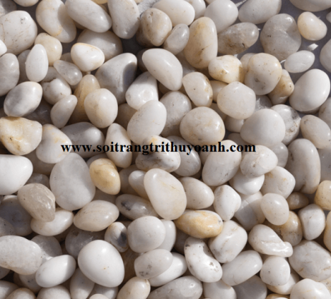 Top năm loại sỏi trang trí tiêu thụ nhiều ở miền Bắc