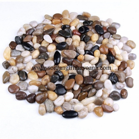Top năm loại sỏi trang trí tiêu thụ nhiều ở miền Bắc