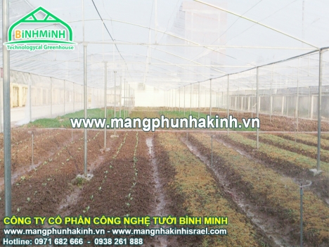 Lưới chắn côn trùng Bình Minh,lưới chắn côn trùng cao cấp,lưới chắn côn trùng giá rẻ,vật tư nhà lưới