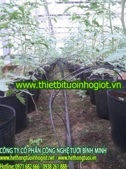 Thế nào là tưới nhỏ giọt, hệ thống tưới nhỏ giọt gia đình, cách tưới cây nhỏ giọt, hệ thống tưới nhỏ