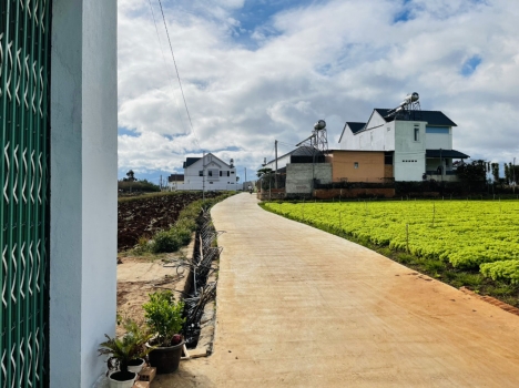 Bán Đất TT Liên Nghĩa 1,6 tỷ 5x30m 150,6m2 TC 75,3m (Đất Ven Đà Lạt) 