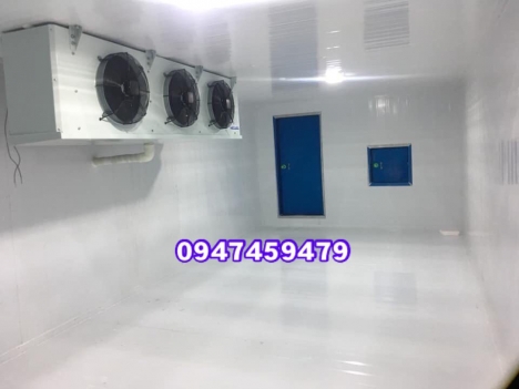 kho lạnh bảo quản nấm kim châm giá tốt