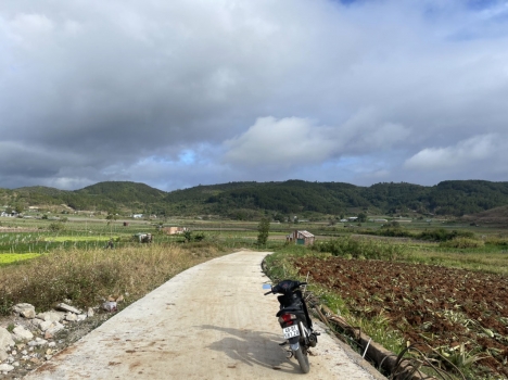 Bán Đất TT Liên Nghĩa 1,6 tỷ 5x30m 150,6m2 TC 75,3m (Đất Ven Đà Lạt) 