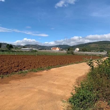 Bán Đất 1,2 Tỷ 5x34 DT 170m2 TC75 Liên Hiệp - Đức Trọng - Lâm Đồng (Đất Ven Đà Lạt)