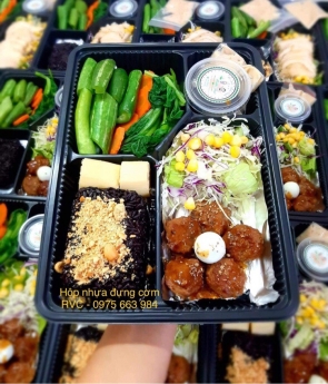 Nơi Bán Hộp Nhựa Đựng Cơm Gía Sỉ Bình Dương