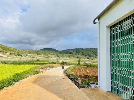 Bán Đất TT Liên Nghĩa 1,6 tỷ 5x30m 150,6m2 TC 75,3m (Đất Ven Đà Lạt) 