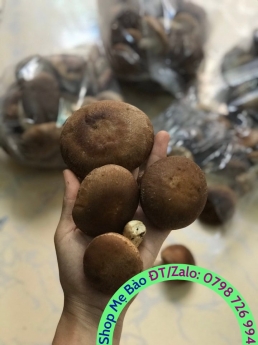 Nấm hương tươi, nấm đông cô tươi, nấm hữu cơ sạch giá tốt